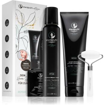 Paul Mitchell Awapuhi Wild Ginger sada (pro suché a poškozené vlasy)