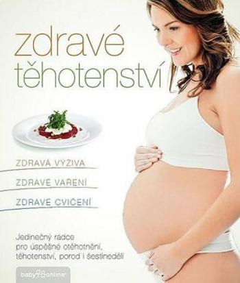 Zdravé těhotenství - Jana Martincová, Vorlová Kamila, Jana Eliášová