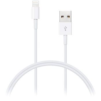 CONNECT IT Wirez Lightning Apple 1m bílý (CI-159)