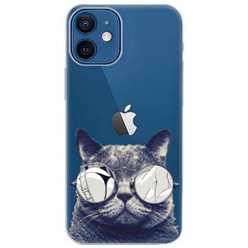 iSaprio Crazy Cat 01 pro iPhone 12 (craca01-TPU3-i12)