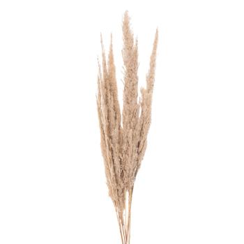Přírodní béžová kytice sušené květy trávy - 100 cm (10ks) 5DF0034
