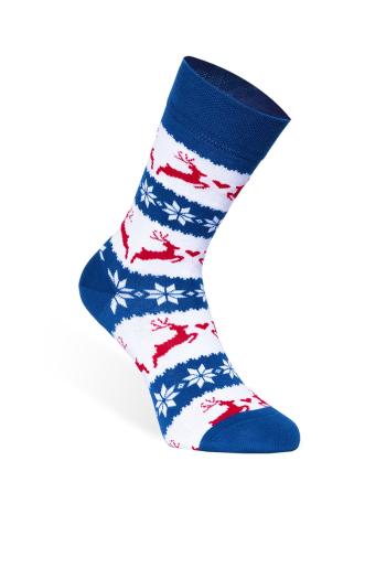 Modro-bílé ponožky Nordic