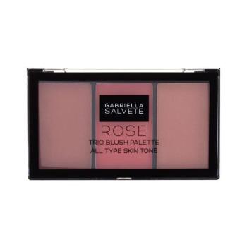 Gabriella Salvete Trio Blush Palette 15 g tvářenka pro ženy poškozená krabička 02 Rose