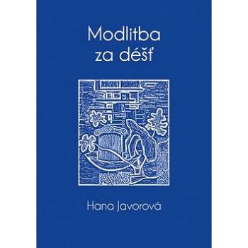 Modlitba za déšť (978-80-7428-093-1)