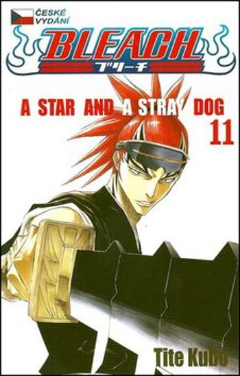 Bleach 11: A Star and a Stray Dog - Tite Kubo