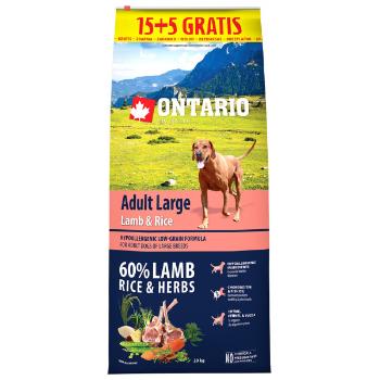 Ontario Adult Large Lamb & Rice 15+5kg zdarma