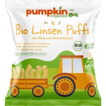 Pumpkin Organics BIO sýr čedar a pažitka křupky 20 g