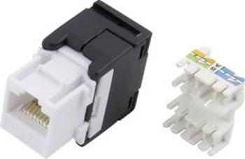 Zásuvka, rovná TRU COMPONENTS 1425901, RJ45 Cat6 93013c1177, šedá, černá, 1 ks