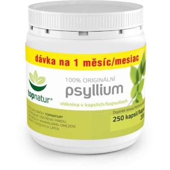 TOPNATUR PSYLLIUM 250 KAPSLÍ Doplněk stravy, , velikost