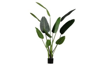 Umělá dekorativní rostlina Strelitzia – 164 cm