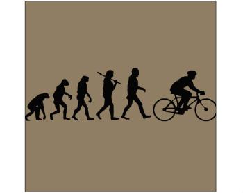 Plakát čtverec Ikea kompatibilní Evolution Bicycle