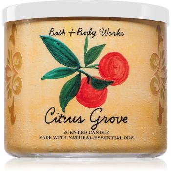 Bath & Body Works Citrus Grove vonná svíčka 411 g