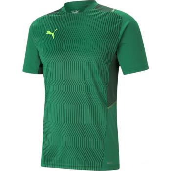 Puma TEAMCUP TRAINING JERSEY TEE Pánský dres, zelená, velikost