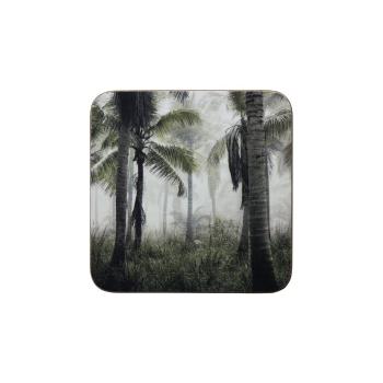6k pevné korkové podtácky s palmami  Jungle in Fog - 10*10*0,4cm SCOZJM