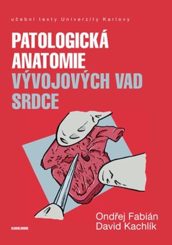 Patologická anatomie vývojových vad srdce - David Kachlík, Fabián Ondřej - e-kniha