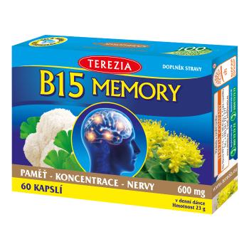 B15 MEMORY