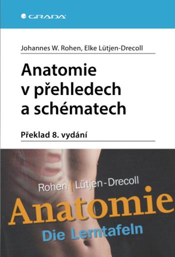Anatomie v přehledech a schématech - Elke Lütjen-Drecoll, Johannes W. Rohen - e-kniha