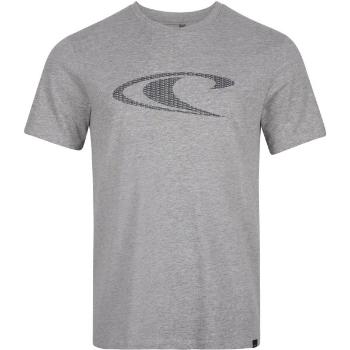 O'Neill WAVE T-SHIRT Pánské tričko, šedá, velikost XL