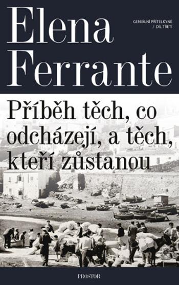 Geniální přítelkyně: Příběh těch, co odcházejí, a těch, kteří zůstanou - Elena Ferrante - e-kniha