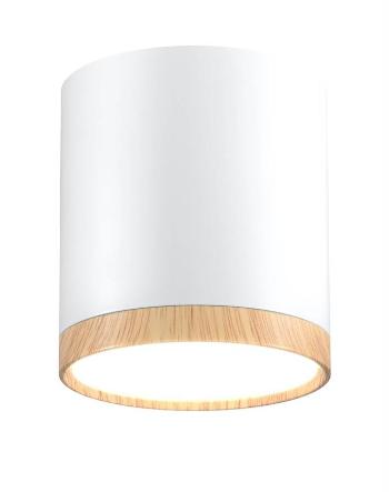 Stropní světlo TUBA LED Candellux