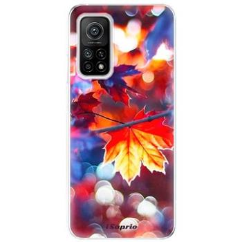 iSaprio Autumn Leaves pro Xiaomi Mi 10T / Mi 10T Pro (leaves02-TPU3-Mi10Tp)