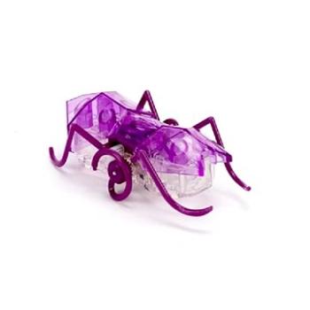 Hexbug Micro Ant fialový (745178584401)