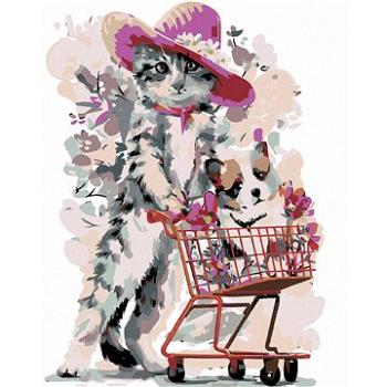 Malování podle čísel - Kotě a štěně v nákupním košíku (HRAmal00183nad)