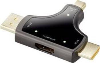 DisplayPort / HDMI adaptér Renkforce RF-3846636, černá