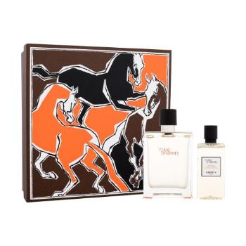 Hermes Terre d´Hermès dárková kazeta toaletní voda 100 ml + sprchový gel 80 ml pro muže