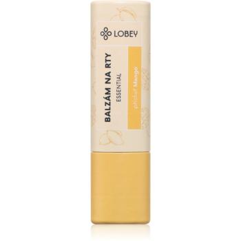 Lobey Skin Care Lip Balm balzám na rty odstín Mango 5 g