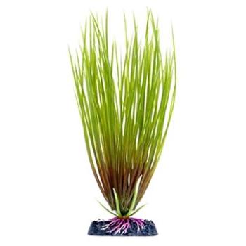 Penn Plax Hair Grass 22 cm (0030172055454)