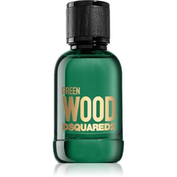 Dsquared2 Green Wood toaletní voda pro muže 50 ml