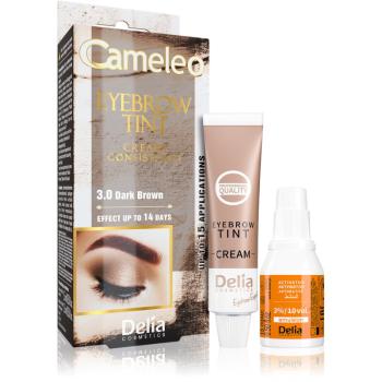 Delia Cosmetics Cameleo krémová profesionální barva na obočí bez amoniaku odstín 3.0 Dark Brown 15 ml