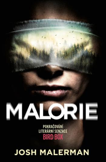Malorie - Josh Malerman - e-kniha