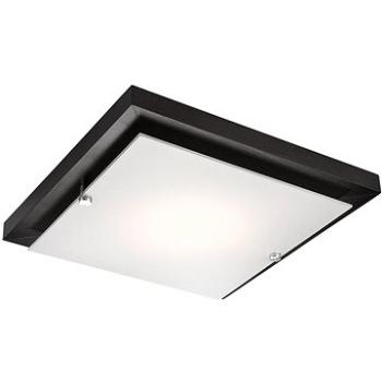 LED Stropní svítidlo 1xLED/12W/230V (89407)