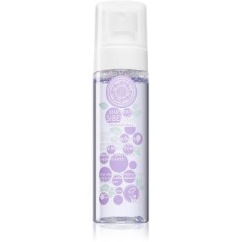 Natura Siberica Anti-Ox Wild Blueberry tonizační pleťová mlha 100 ml