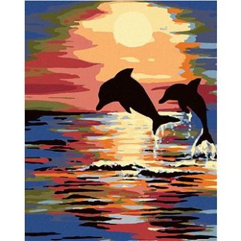 Malování podle čísel - Delfíni a západ slunce (HRAmal01198nad)