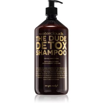 Waterclouds The Dude denní detoxikační šampon 1000 ml