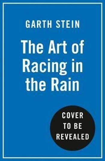 Art of Racing in the Rain - Garth Stein