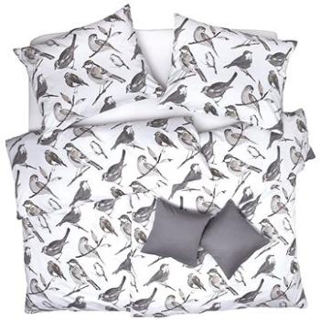 SCANquilt povlečení SATÉN DESIGN grey birds šedobéžová (34695)