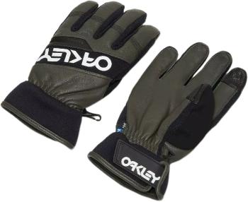 Oakley Factory Winter Glove 2.0 - new dark brush/white L