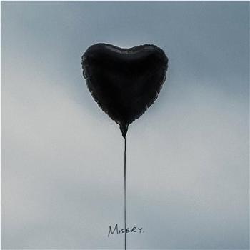 Amity Affliction: Misery - LP (1686174331)