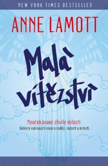 Malá vítězství - Anne Lamottová - e-kniha