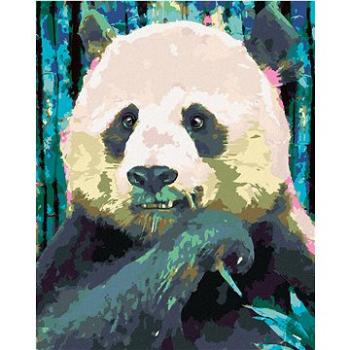 Diamondi - Diamantové malování - BAREVNÁ PANDA, 40x50 cm, bez rámu a bez vypnutí plátna (605372A)