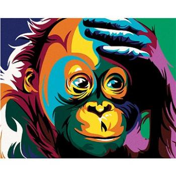 Malování podle čísel - Malá barevná opička (HRAmal00480nad)