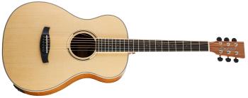 Tanglewood DBT PE HR