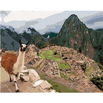 Lama a machu picchu, 40×50 cm, vypnuté plátno na rám (6048741)