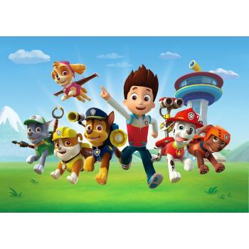 Dětská fototapeta Paw Patrol 251 x 182 cm, 4 díly