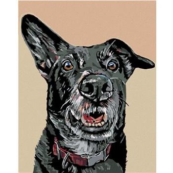 Malování podle čísel - Černý pes a nastražené ucho (HRAmal01019nad)