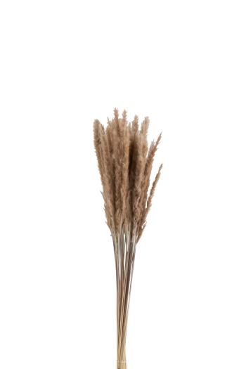 Svazek sušené trávy hnědé - 9*9*82 cm 2620